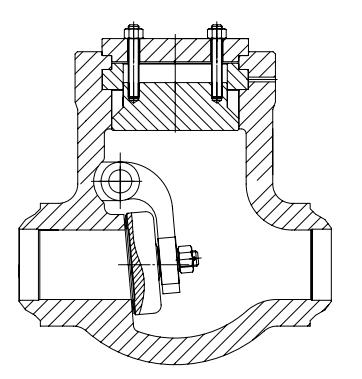 Pressure Seal Check Valve